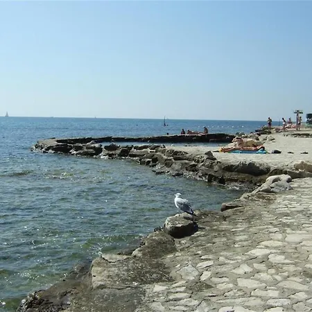 Sara, 100 M From The Beach * Novigrad Istria
